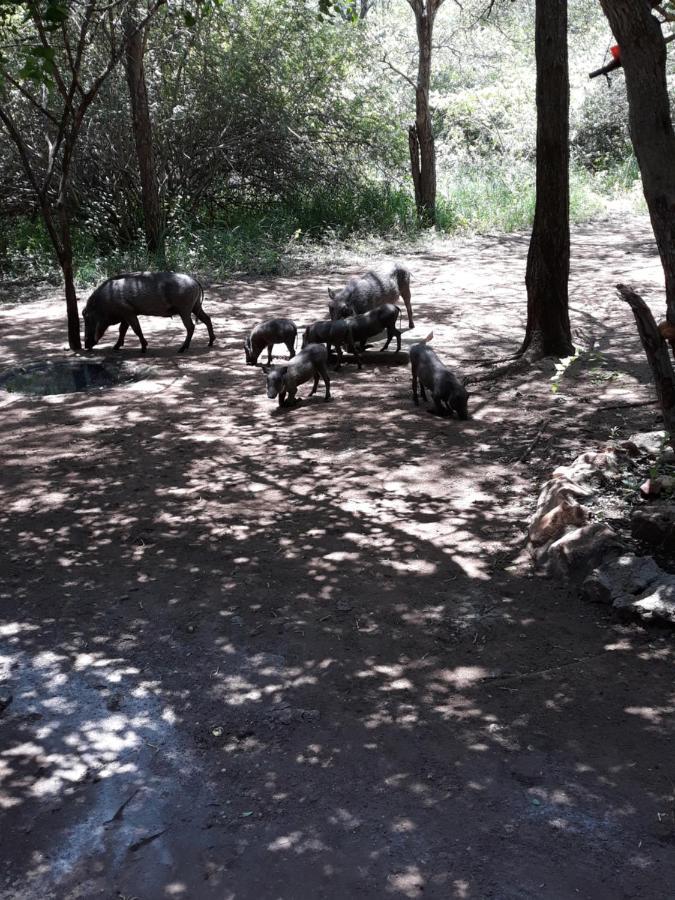 African Sky 玛洛斯帕克 外观 照片