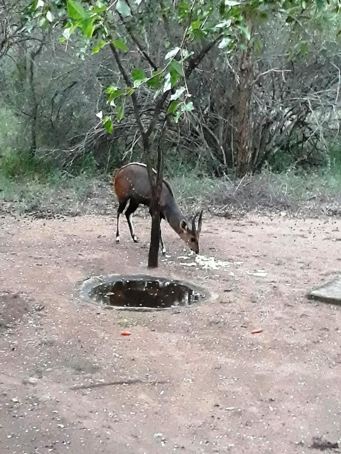 African Sky 玛洛斯帕克 外观 照片