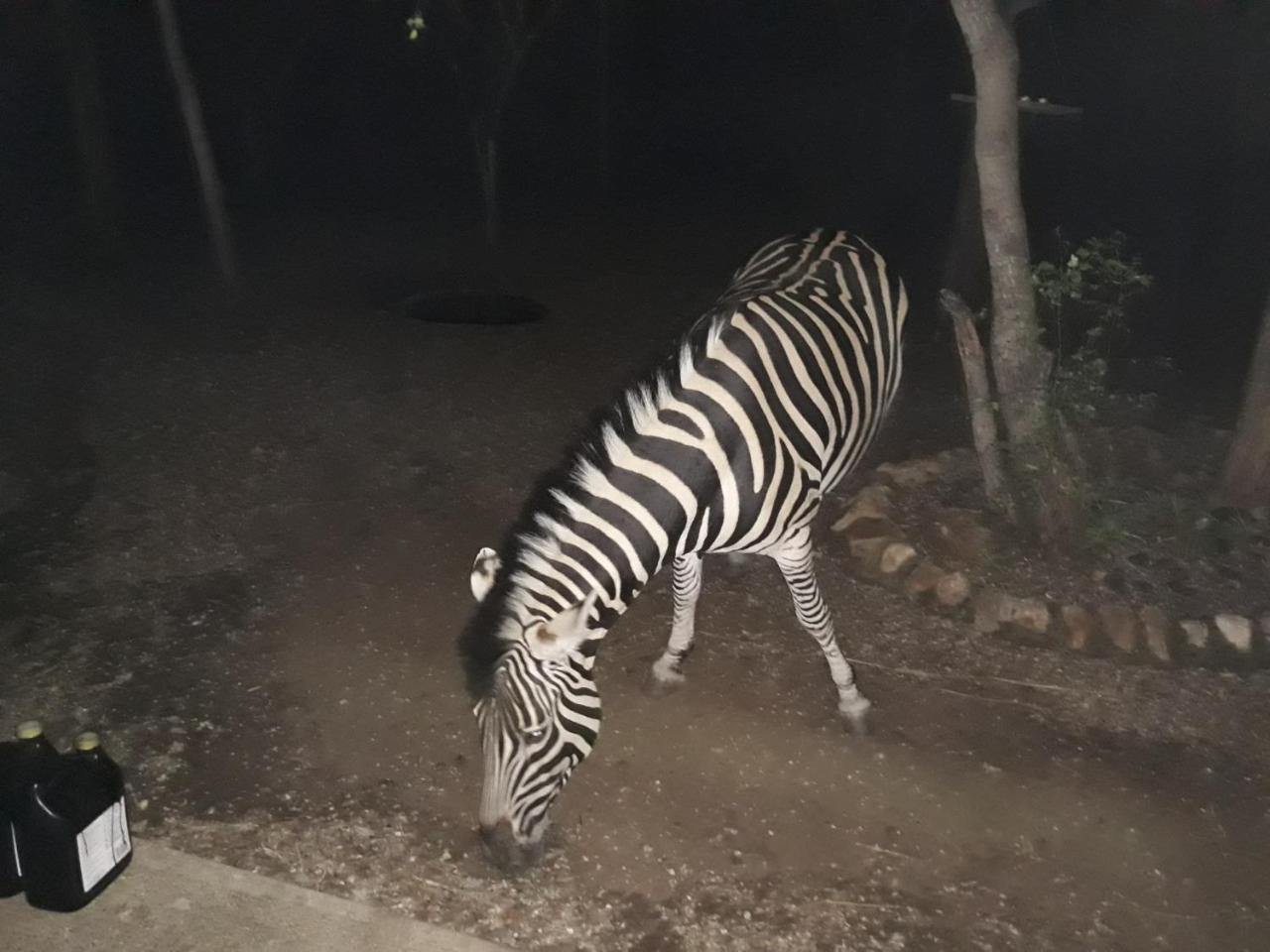 African Sky 玛洛斯帕克 外观 照片